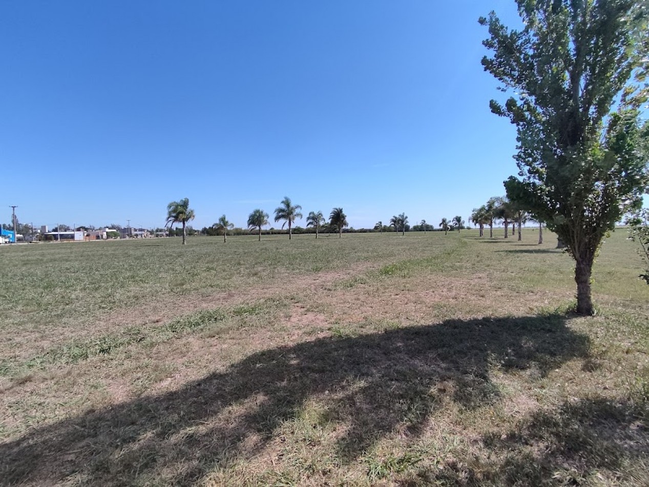 LOTEO ALDEA UNO